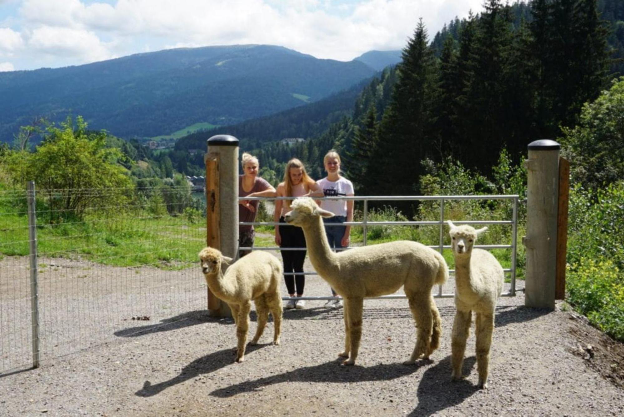 Vitalhof Am Kreischberg By Alps Resorts Bodendorf (Styria) Exterior foto